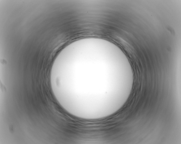 X0000091360556200708101056