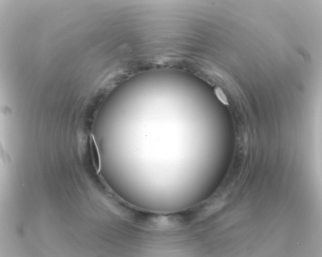 X0000091360558200708101056