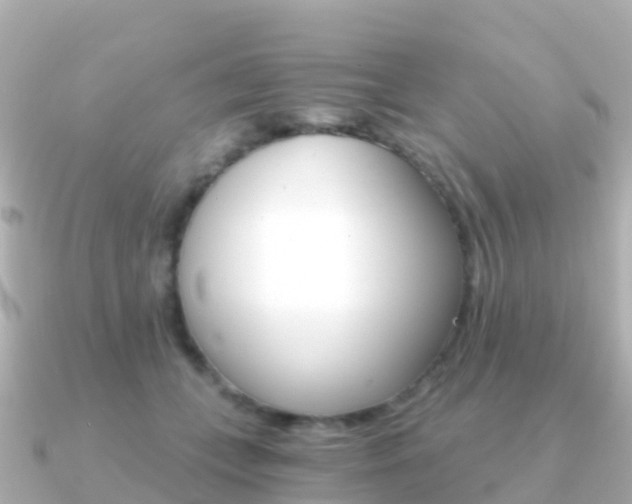 X0000091360559200708101056