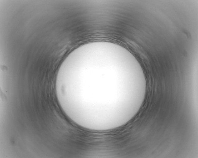 X0000091360560200708101056