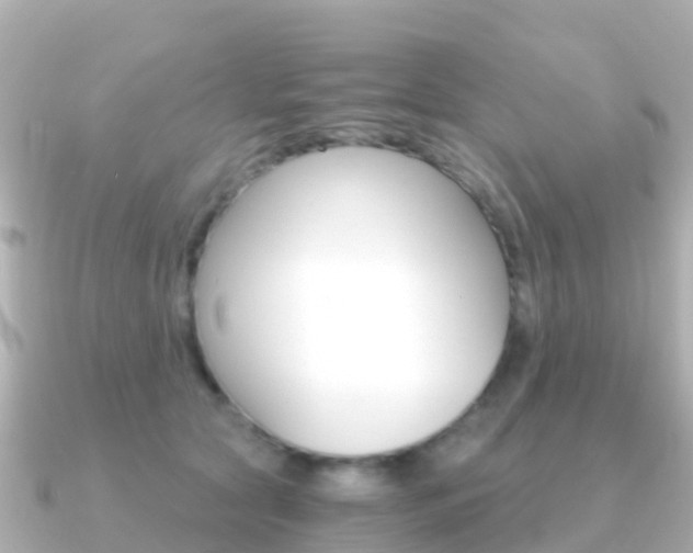 X0000091360561200708101056