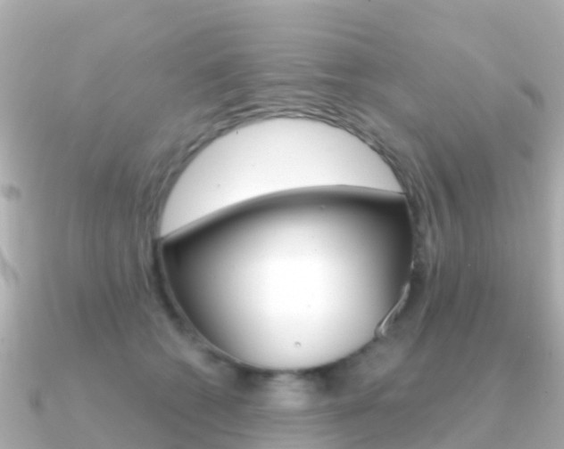 X0000091360562200708101057
