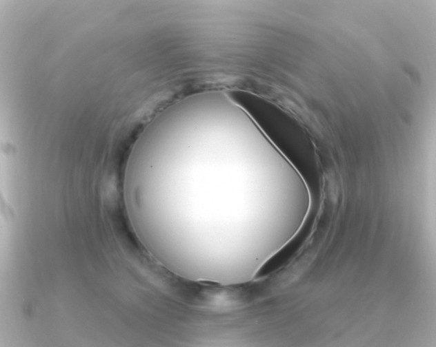 X0000091360564200708101057