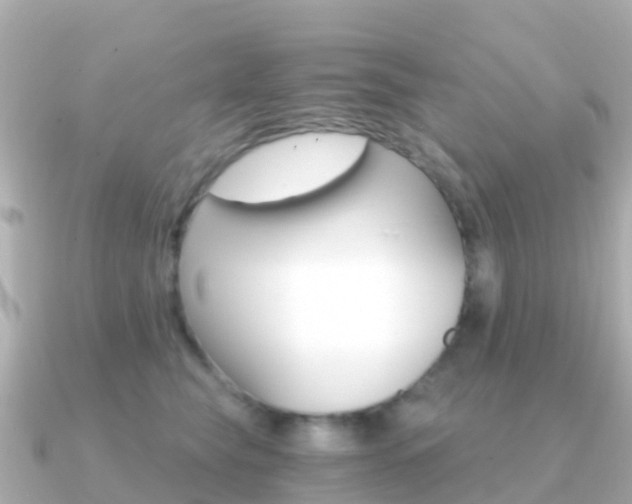 X0000091360565200708101057