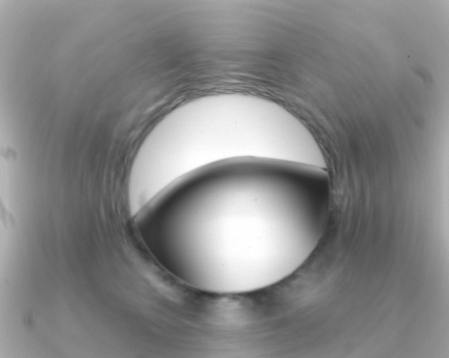 X0000091360566200708101057
