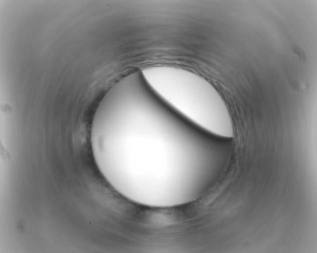 X0000091360567200708101057