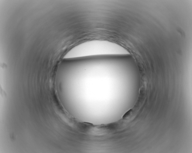 X0000091360568200708101057