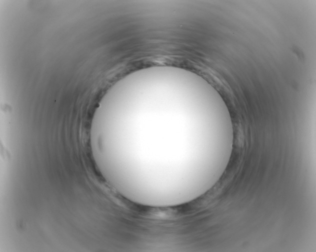 X0000091360569200708101057