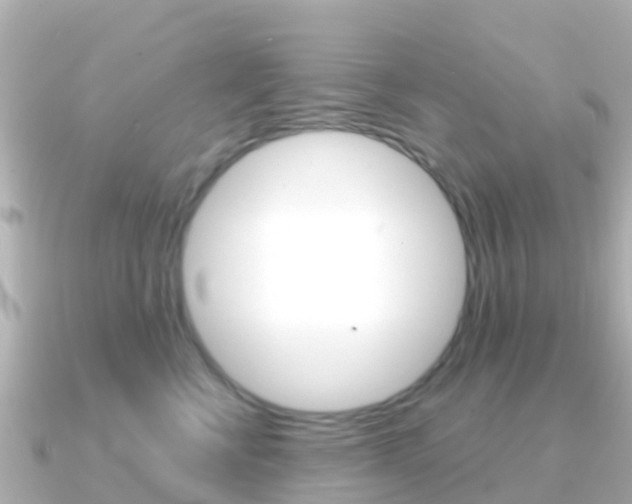 X0000091360570200708101057