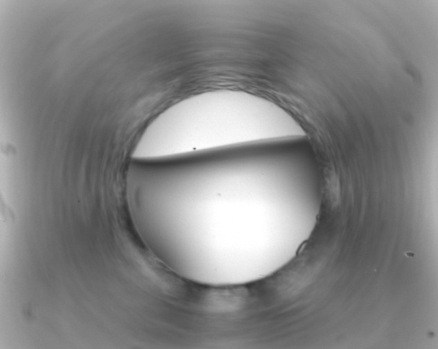 X0000091360571200708101057