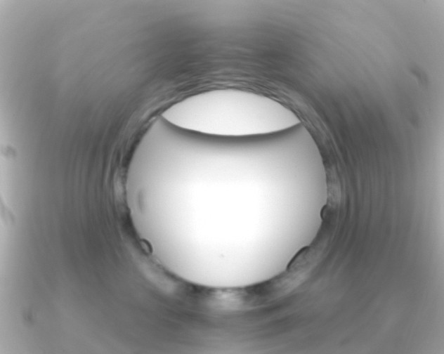 X0000091360573200708101057