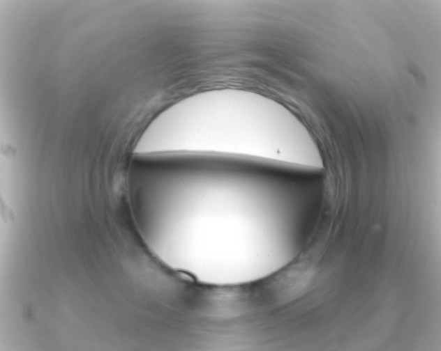 X0000091360574200708101057
