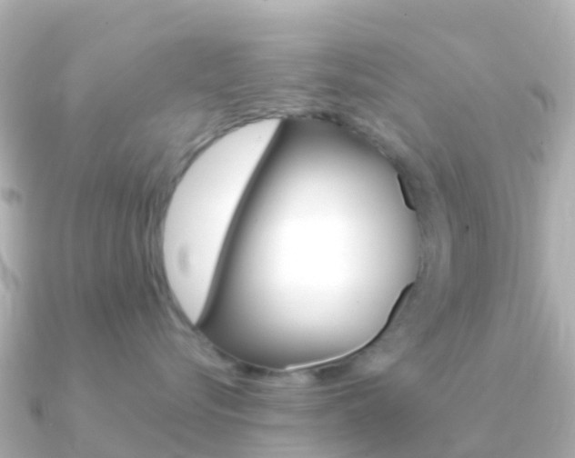 X0000091360576200708101057