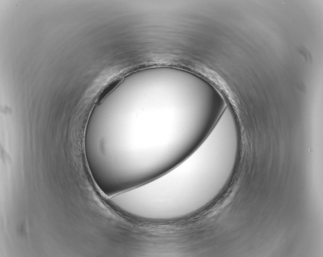X0000091360577200708101056