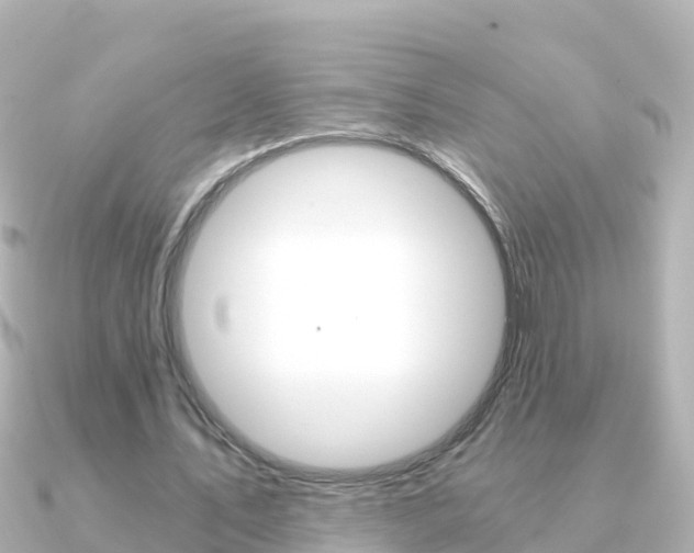 X0000091360579200708101056