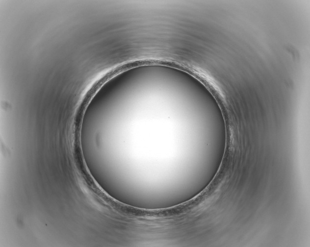 X0000091360580200708101056