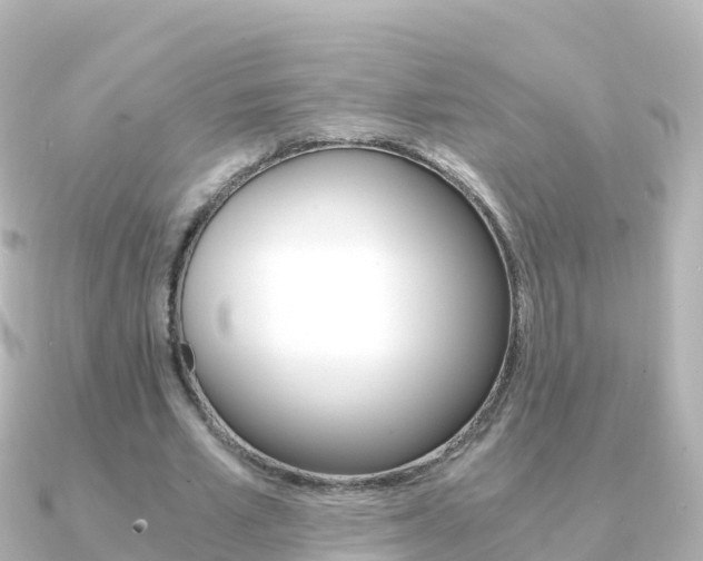 X0000091360581200708101056