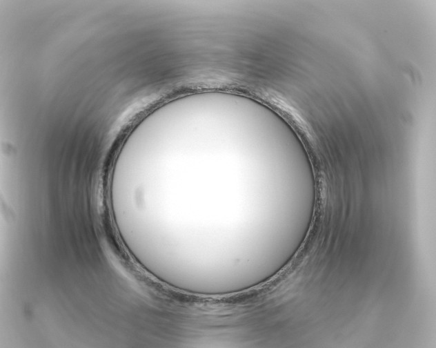 X0000091360582200708101056