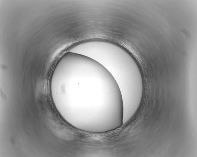 X0000091360583200708101056