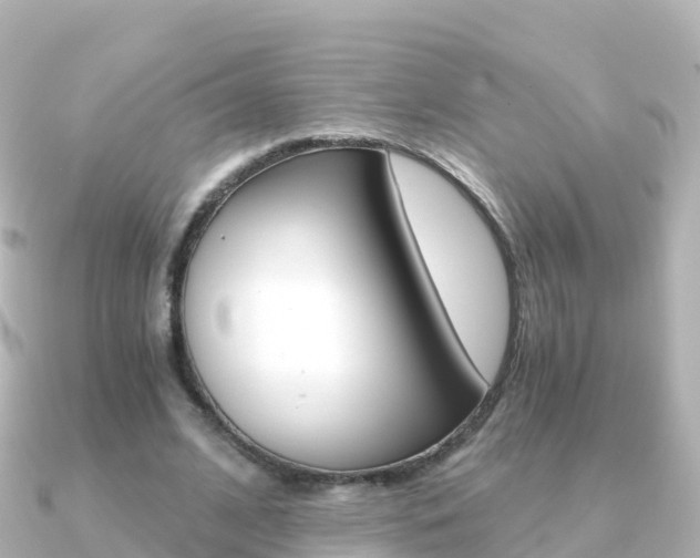 X0000091360584200708101056