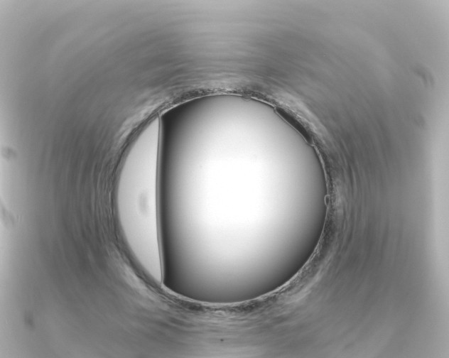 X0000091360585200708101056