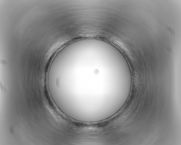X0000091360586200708101056