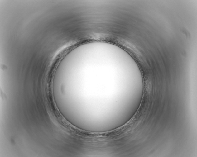 X0000091360587200708101056