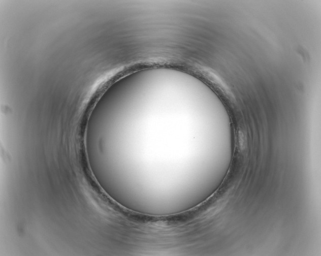 X0000091360588200708101056