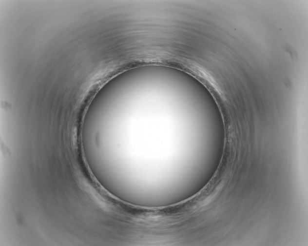 X0000091360589200708101056