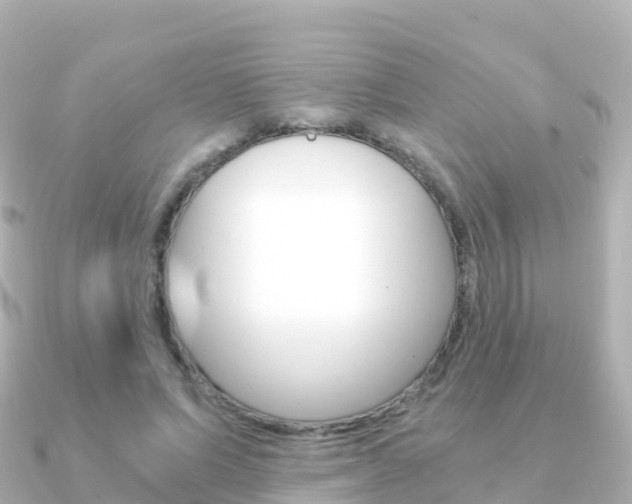 X0000091360591200708101056
