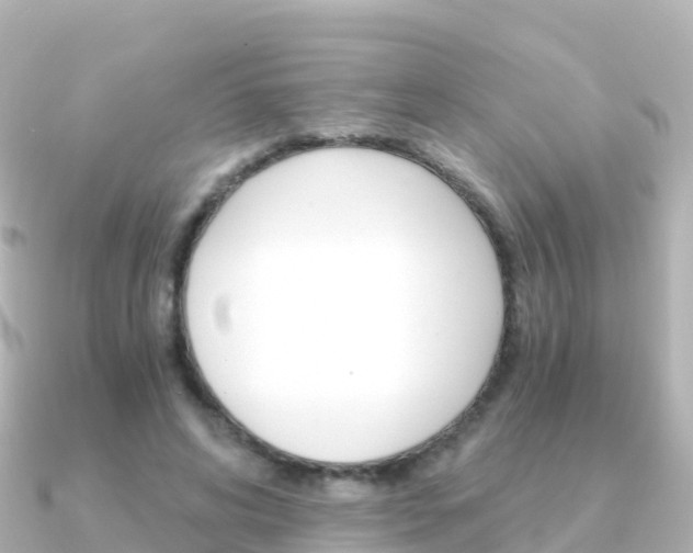 X0000091360592200708101056