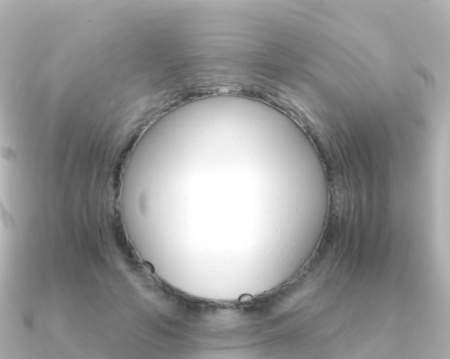 X0000091360594200708101056