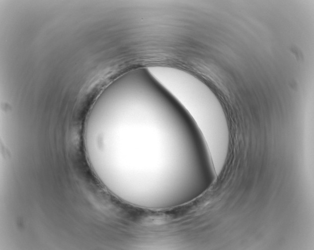 X0000091360595200708101056
