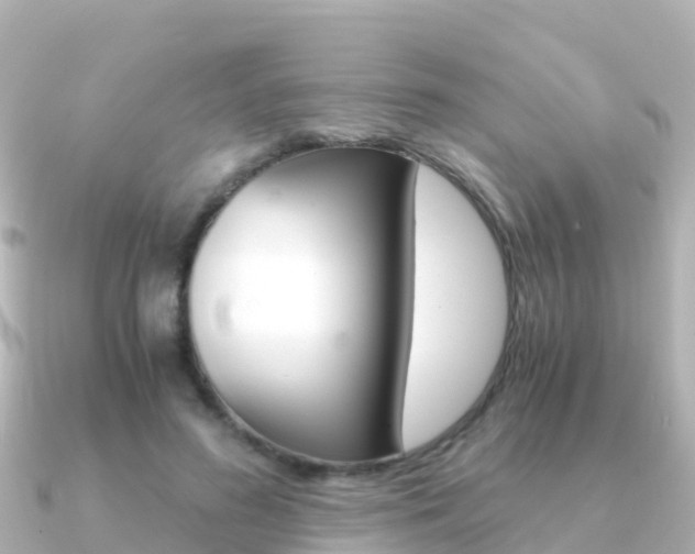 X0000091360596200708101056