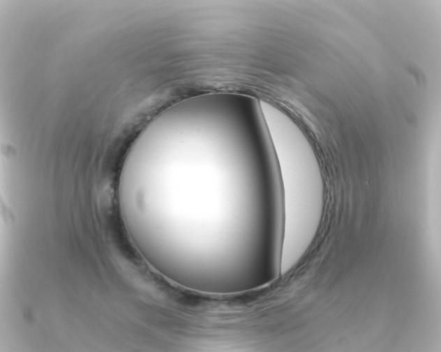 X0000091360597200708101056