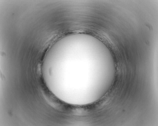 X0000091360598200708101056