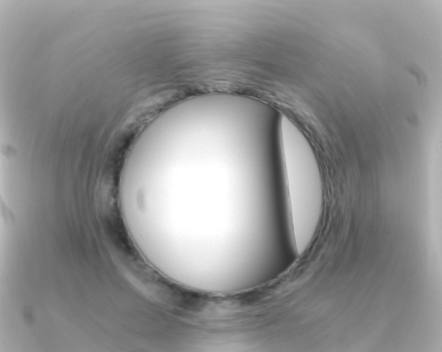 X0000091360599200708101056