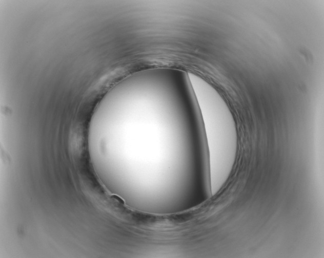 X0000091360600200708101056
