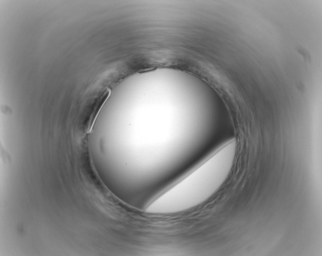 X0000091360601200708101056