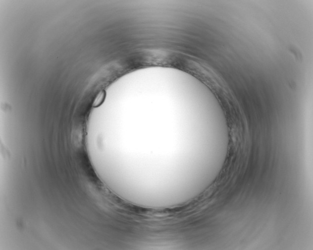 X0000091360602200708101056
