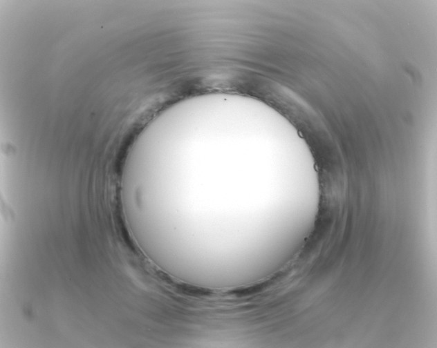X0000091360603200708101056