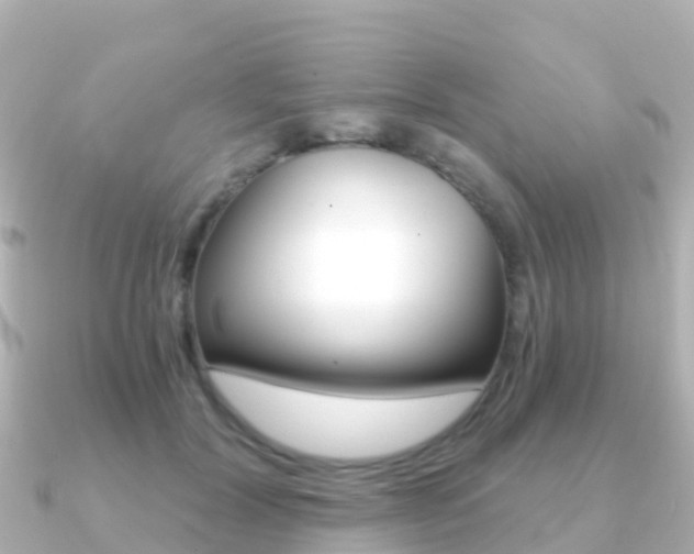 X0000091360604200708101056