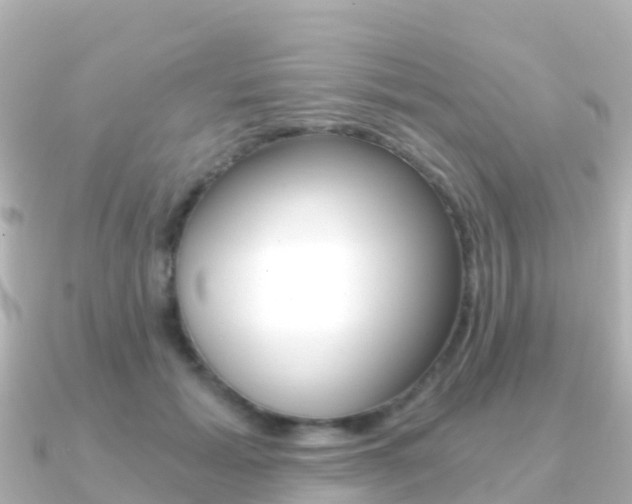 X0000091360605200708101056