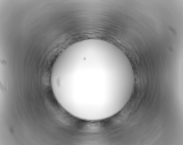 X0000091360606200708101056