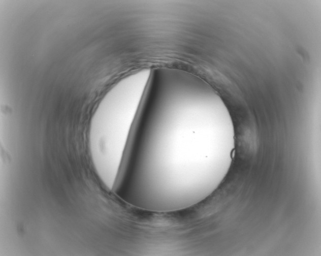 X0000091360608200708101056