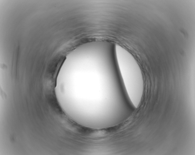 X0000091360609200708101056