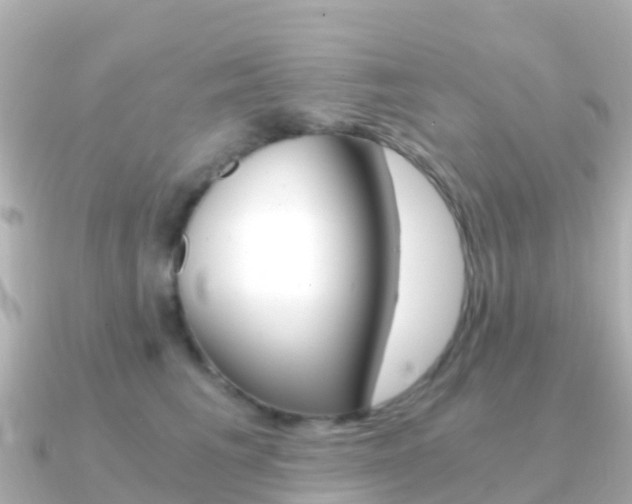 X0000091360613200708101056