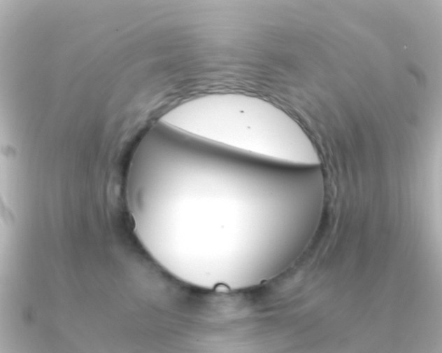 X0000091360615200708101056