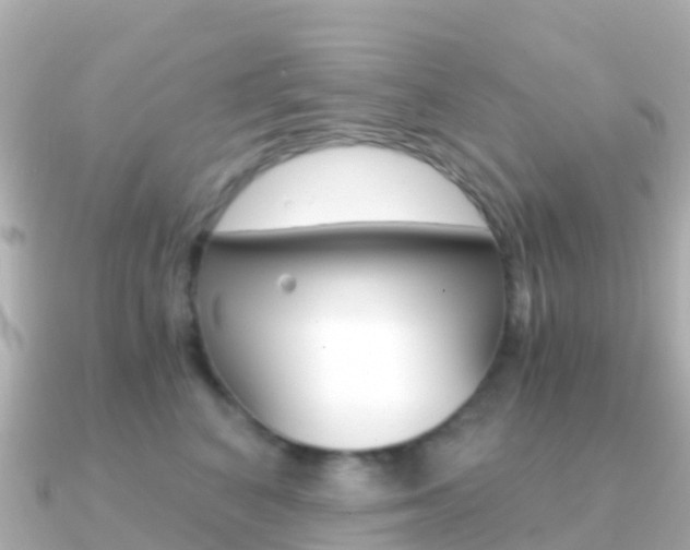 X0000091360616200708101056