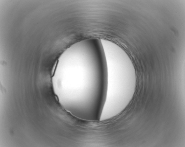 X0000091360617200708101056